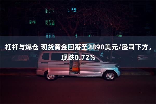 杠杆与爆仓 现货黄金回落至2890美元/盎司下方，现跌0.72%