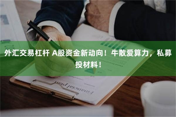 外汇交易杠杆 A股资金新动向！牛散爱算力，私募投材料！
