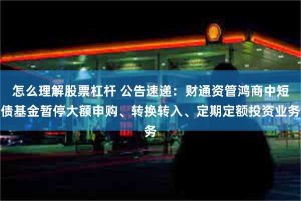 怎么理解股票杠杆 公告速递：财通资管鸿商中短债基金暂停大额申购、转换转入、定期定额投资业务