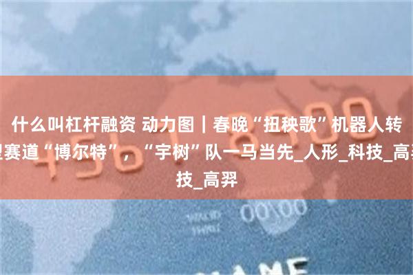 什么叫杠杆融资 动力图｜春晚“扭秧歌”机器人转型赛道“博尔特”，“宇树”队一马当先_人形_科技_高羿