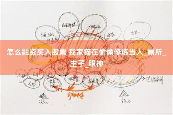 怎么融资买入股票 我家猫在偷偷修炼当人_厕所_主子_眼神