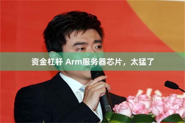 资金杠杆 Arm服务器芯片，太猛了