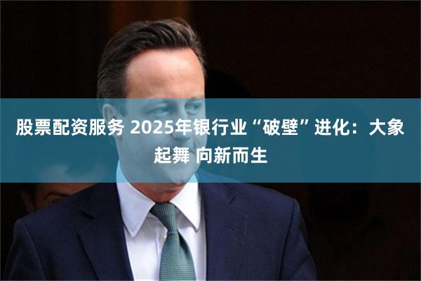 股票配资服务 2025年银行业“破壁”进化：大象起舞 向新而生